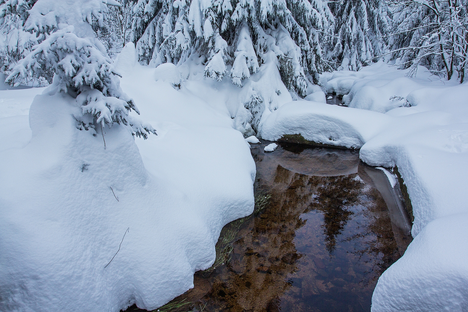 Noch aber ist Winter