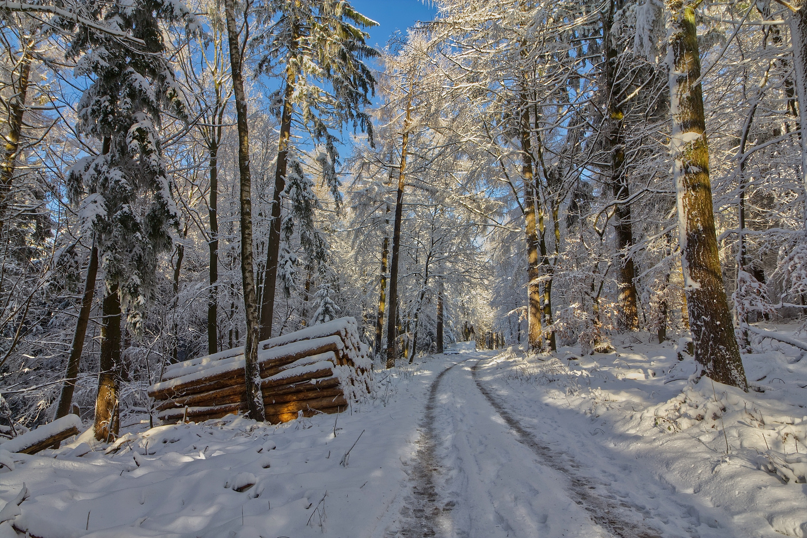 Noch aber ist Winter