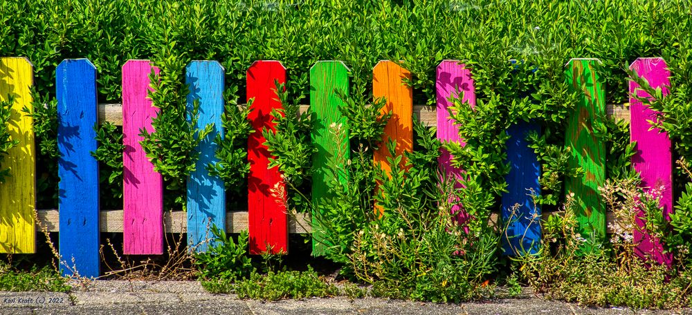 Noch alle Latten am Zaun? Foto & Bild world, zaun, farben Bilder auf