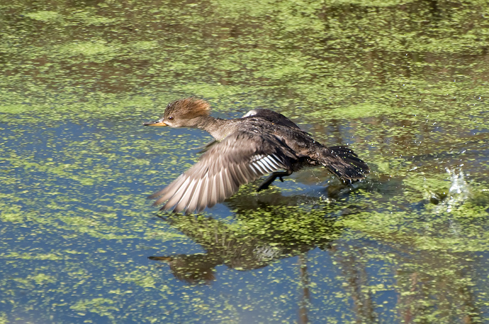 Noch beim Abflug...