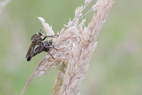 noch bevor der Regen kam