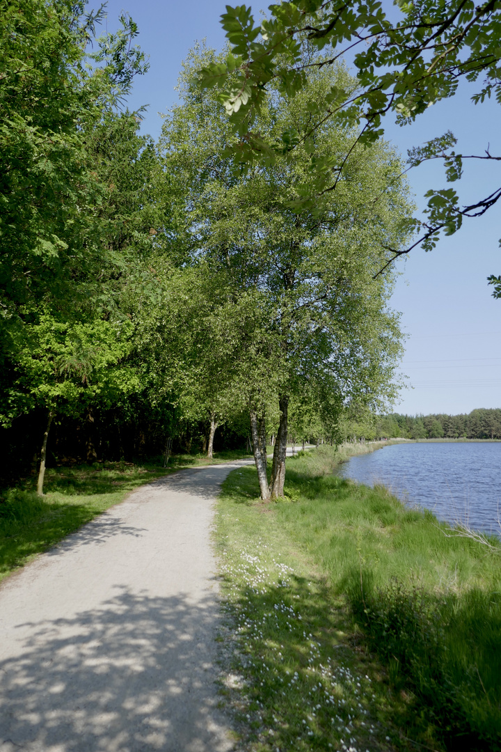 Noch ca. 3km um den See…