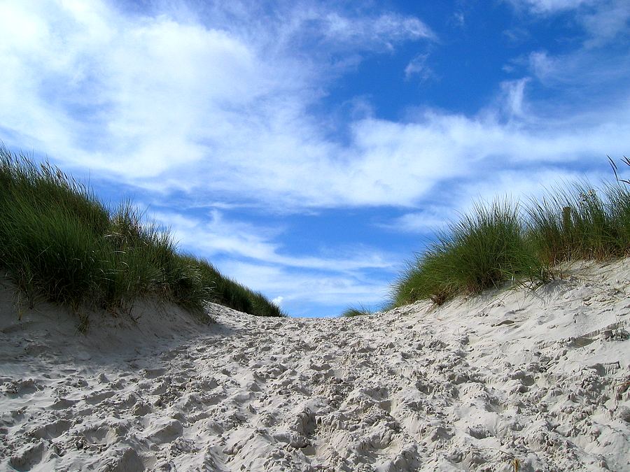 Noch diese eine Düne, dann...