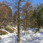 Noch dominieren Bäume  den Aufstieg aber die Felsen sind schon zum greifen nah