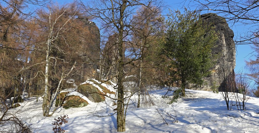 Noch dominieren Bäume  den Aufstieg aber die Felsen sind schon zum greifen nah