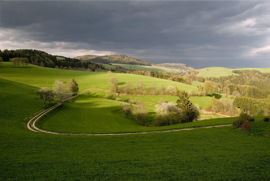 Noch dreieinhalb Monate (Frühling)