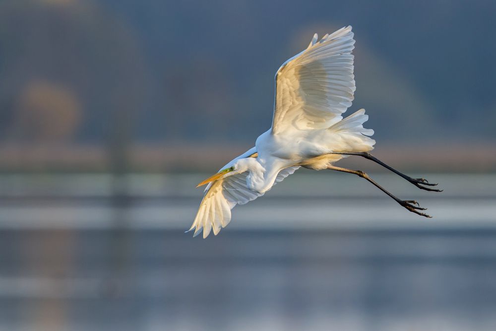 Noch ein Anflug