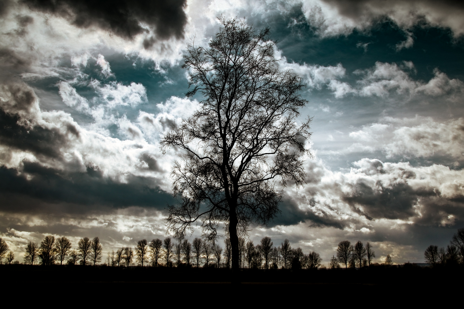 Noch ein Baum