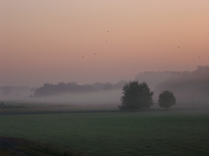 Noch ein Bild aus der Hamm am Morgen Serie