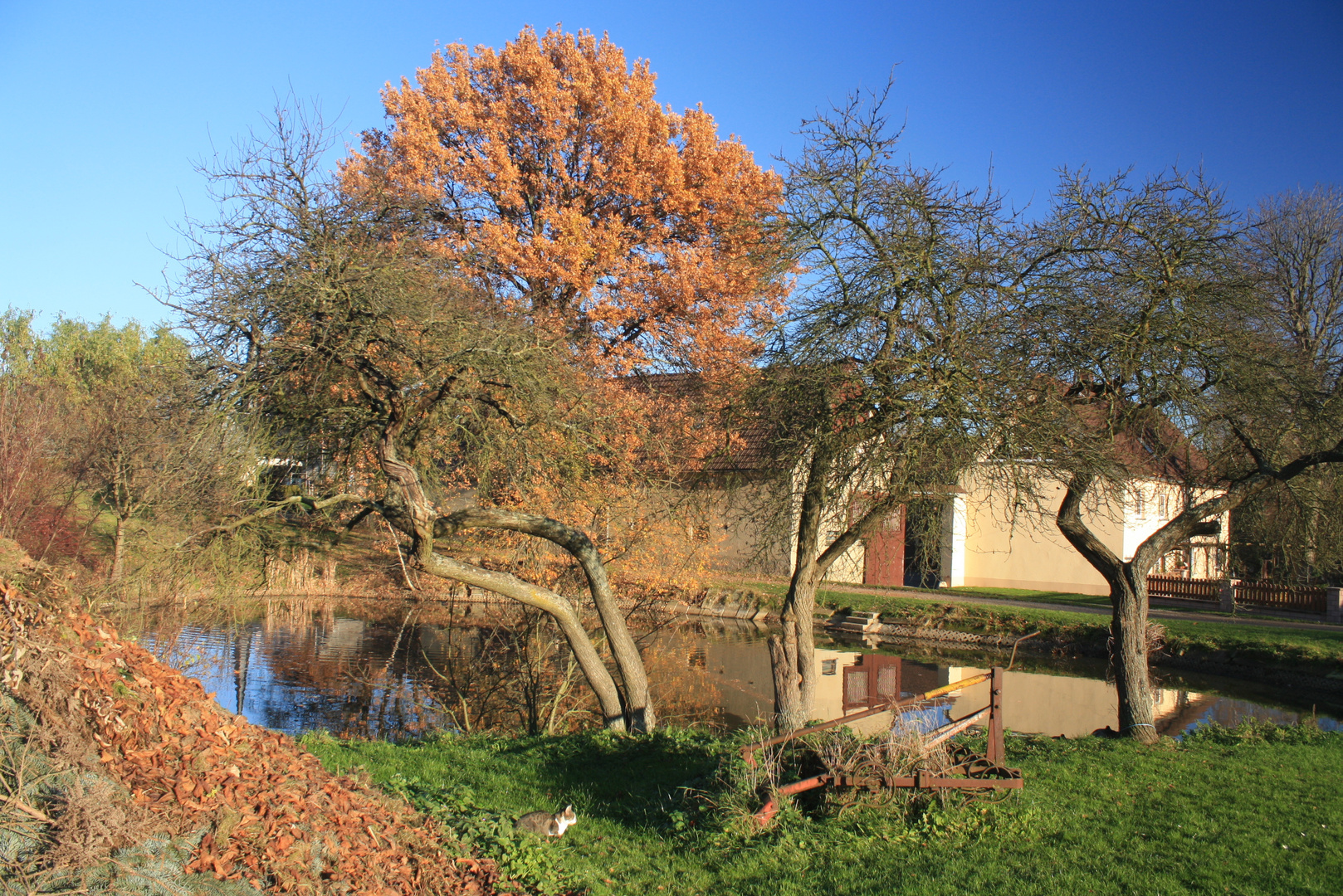 Noch ein Bild aus der Herbstsonntagnachmittagsserie