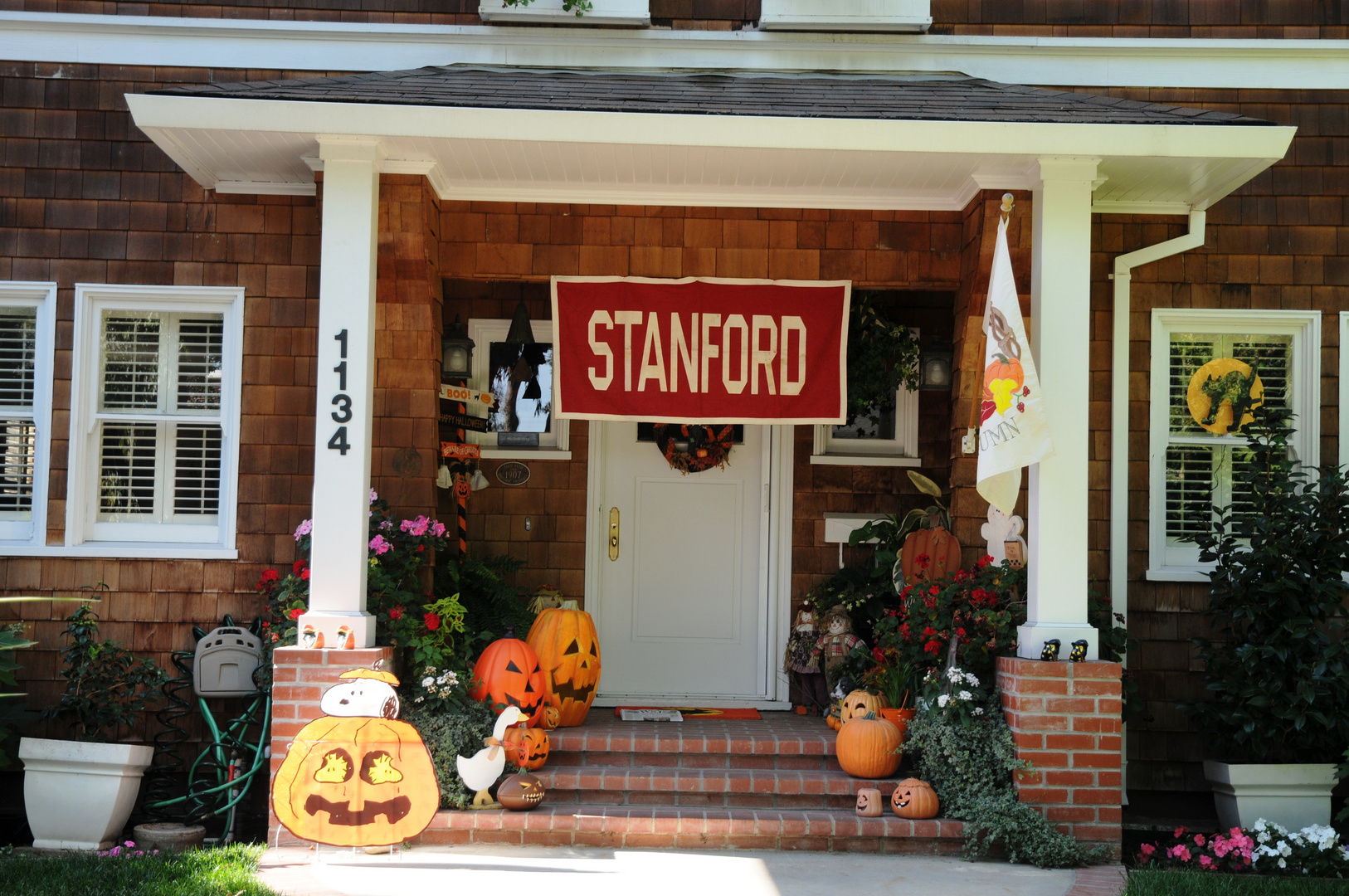 Noch ein Bild aus Stanford - Halloween comes nearer !