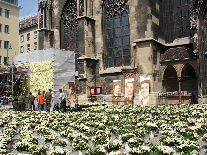 Noch ein bild von dem blumenmeer - ja eben ein gedenken jedoch