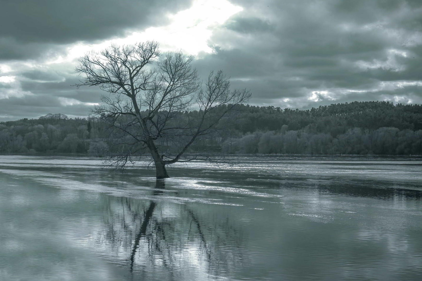 Noch ein Bild von der Flut an der Elbe 