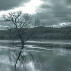 Noch ein Bild von der Flut an der Elbe 