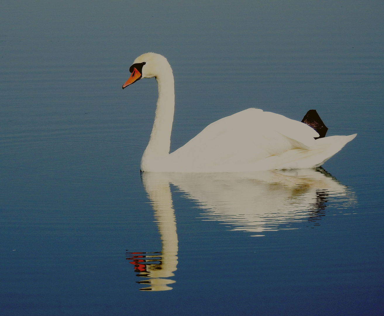 noch ein Bild zum Spiegeltag 