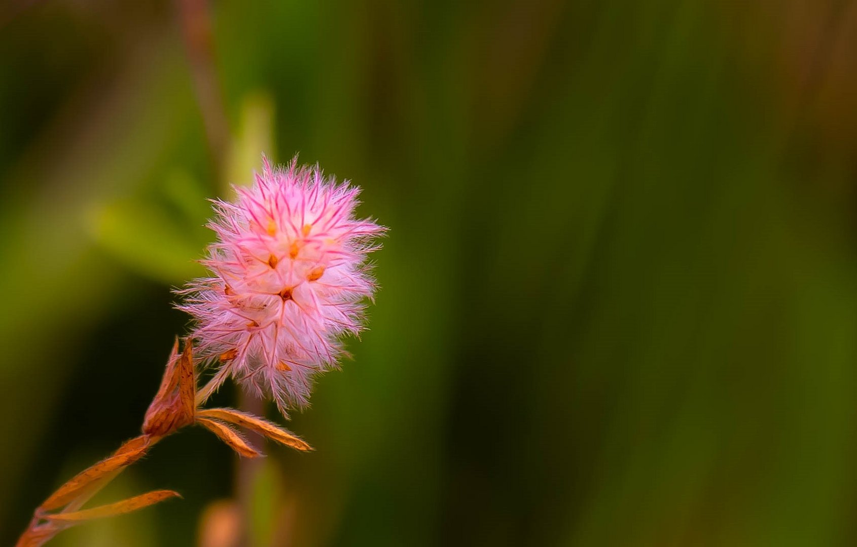 Noch ein bischen Farbe