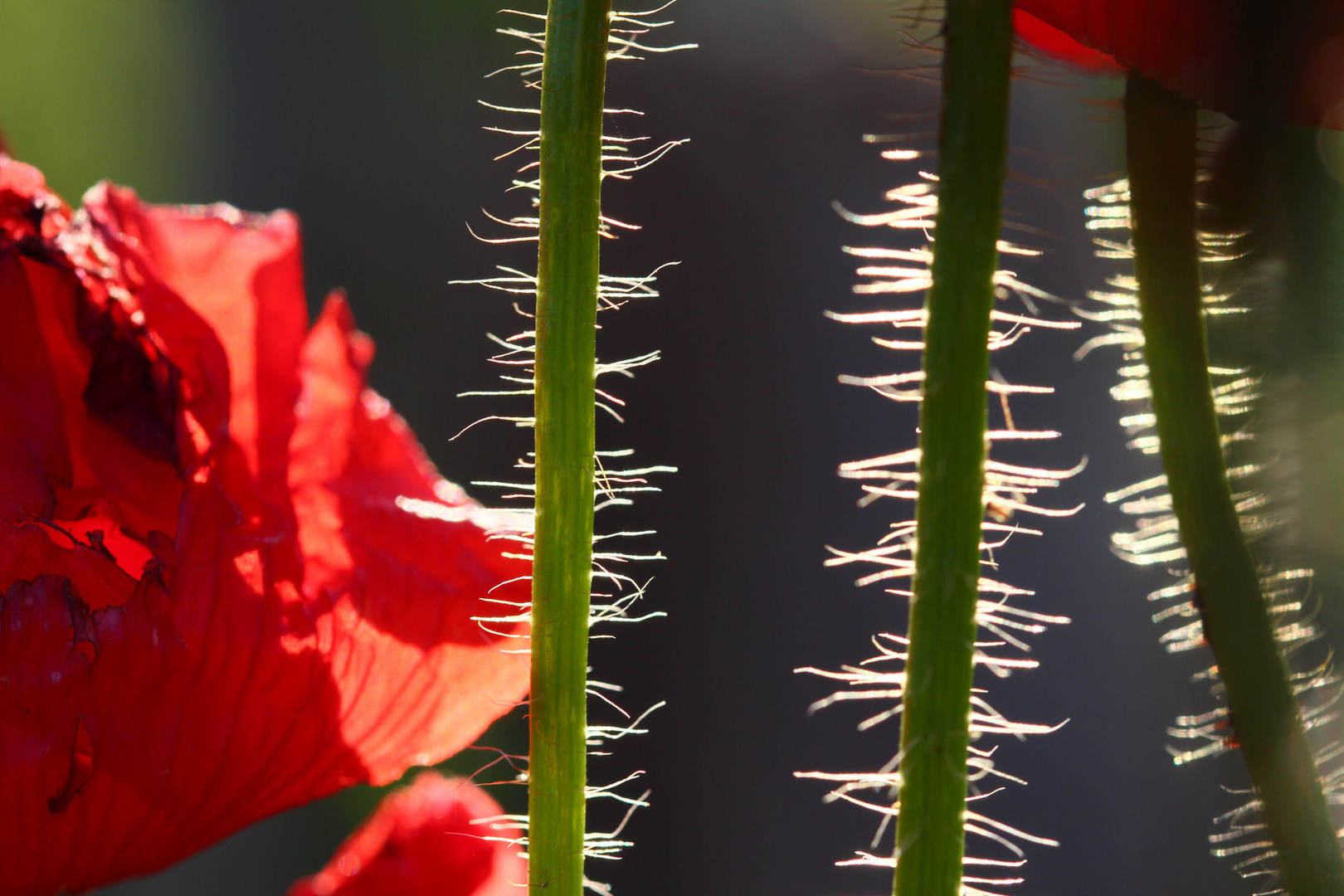 noch ein bischen Sommerfeeling