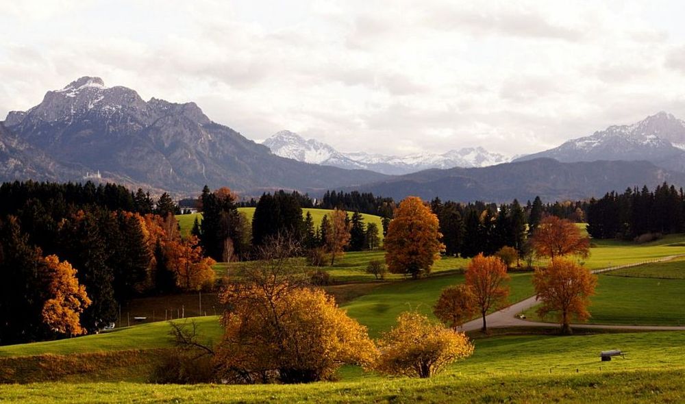 Noch ein bisschen Allgäuer Herbst