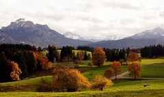 Noch ein bisschen Allgäuer Herbst