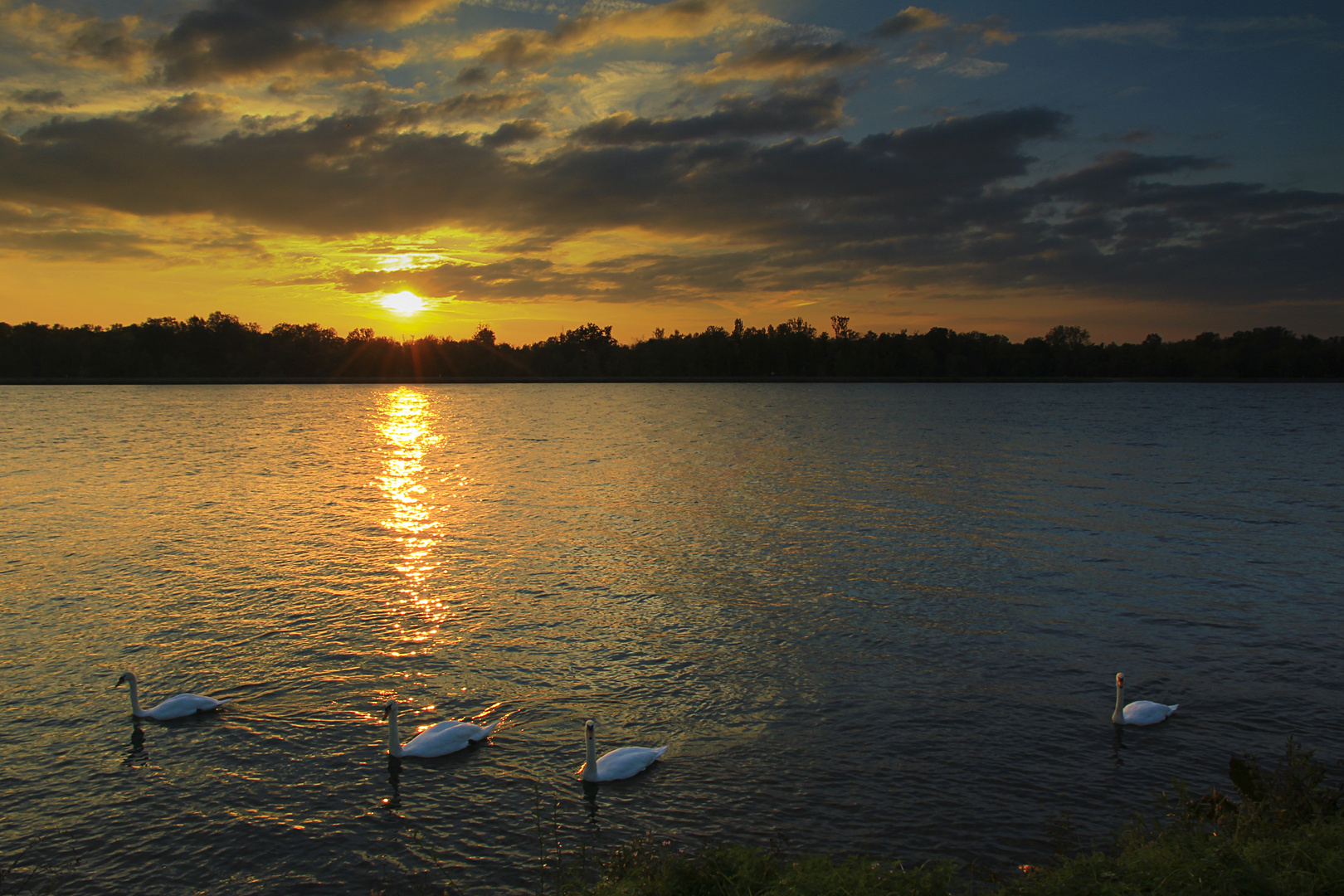 Noch ein bisschen die Abendsonne auf dem Rhein genießen