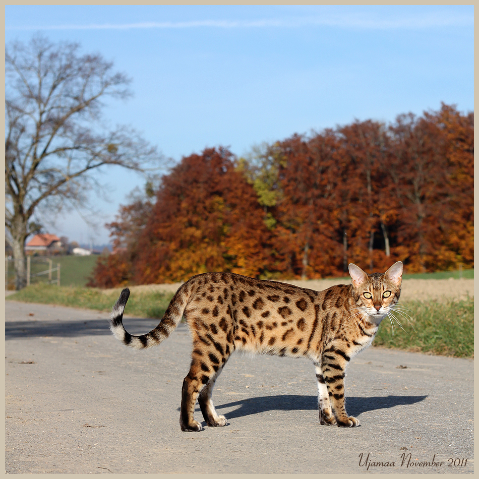 Noch ein bisschen die Herbstsonne geniessen...