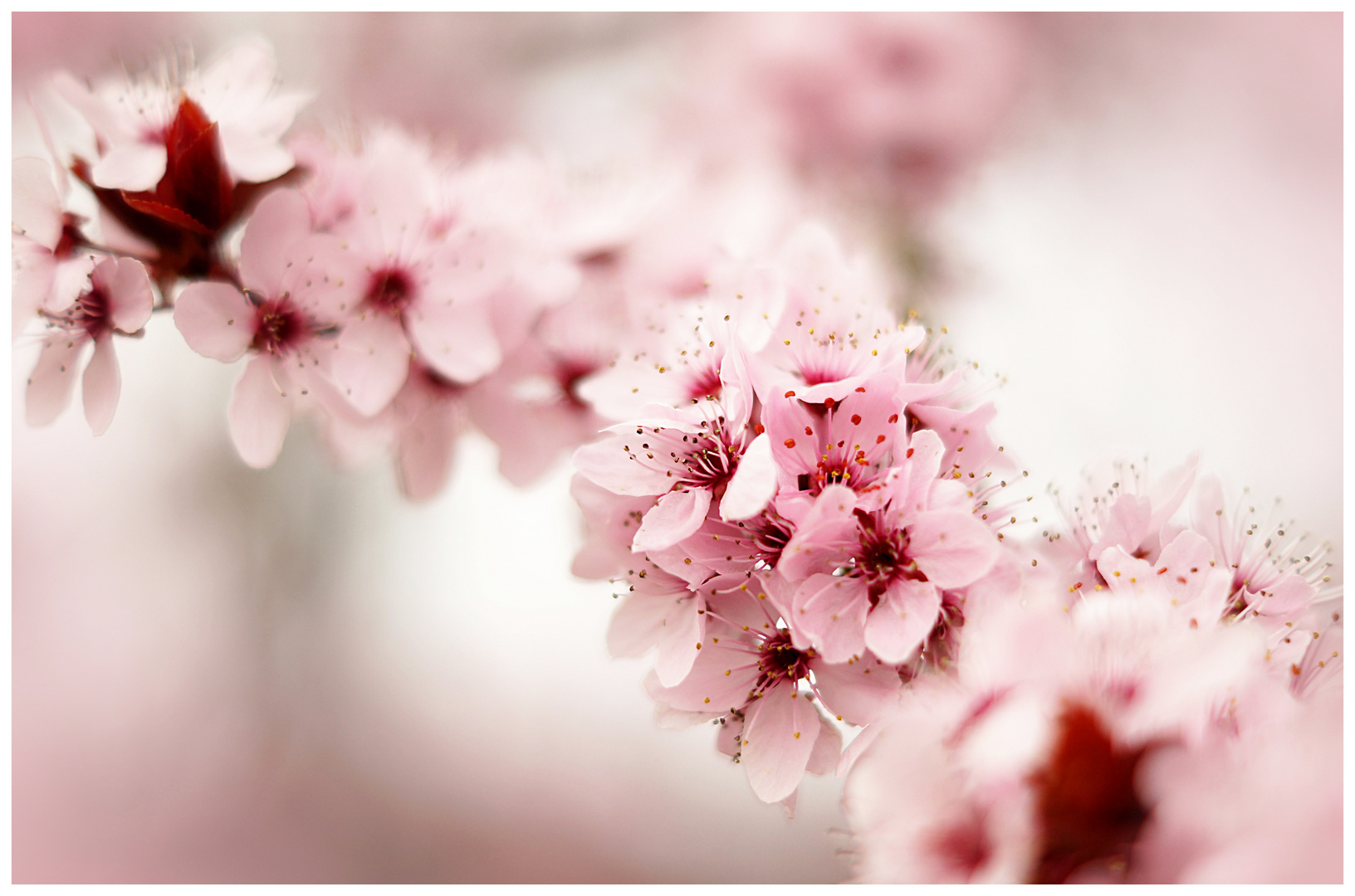 noch ein bißchen Frühling...