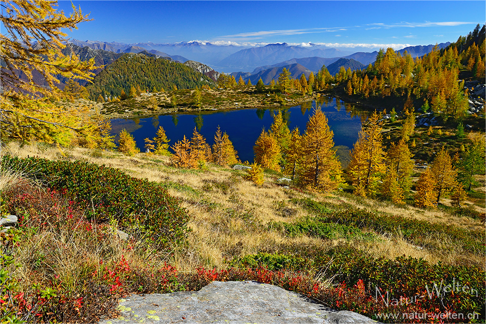 Noch ein bisschen Herbst