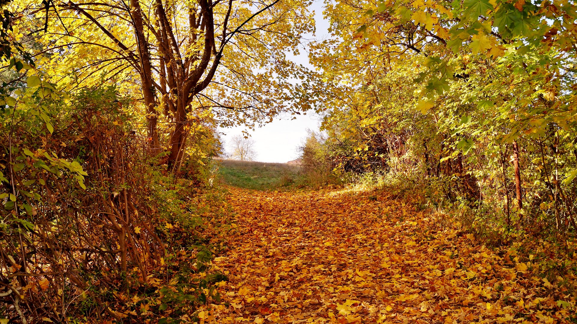 Noch ein bisschen Herbststimmung