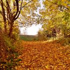 Noch ein bisschen Herbststimmung