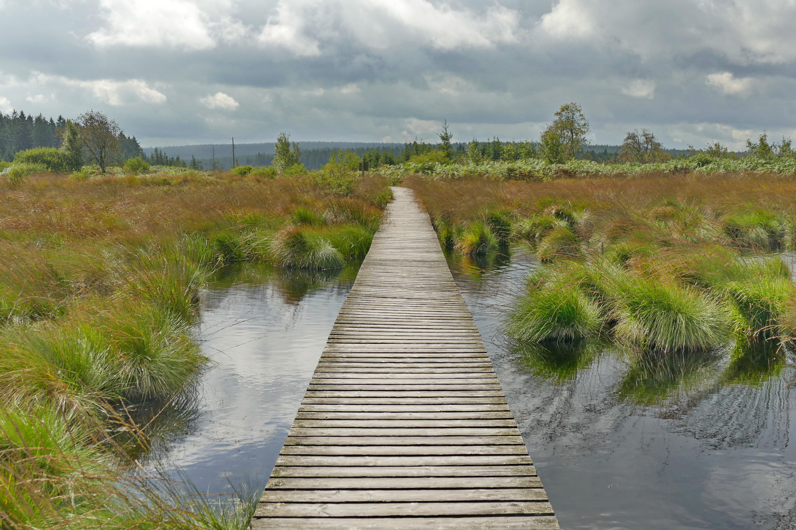 noch ein bisschen Hochmoor