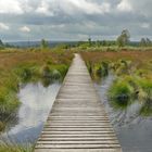 noch ein bisschen Hochmoor