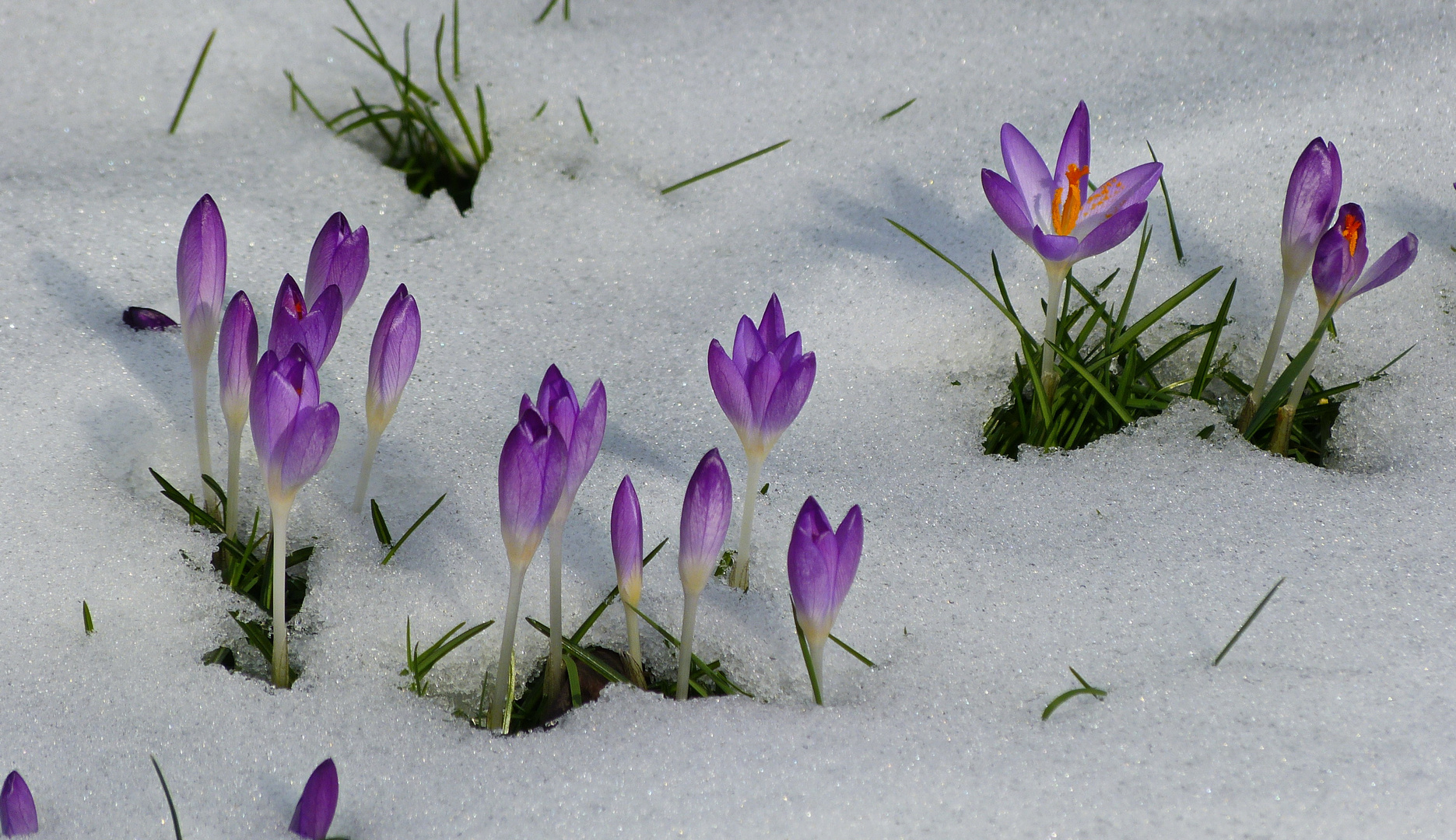 noch ein bißchen Schnee