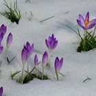 noch ein bißchen Schnee