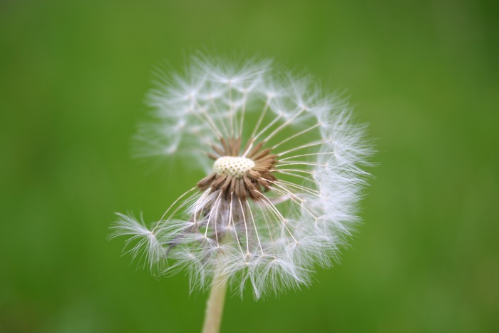 noch ein bisschen Wind und alles ist vorbei .....