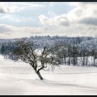 Noch ein bisschen Winter