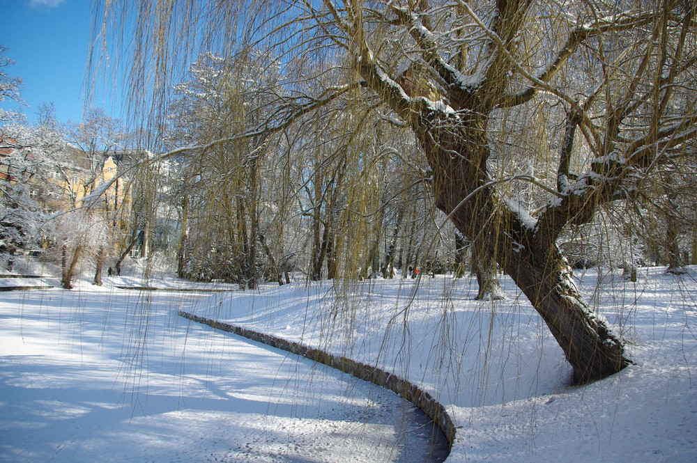 noch ein bisschen Winter...