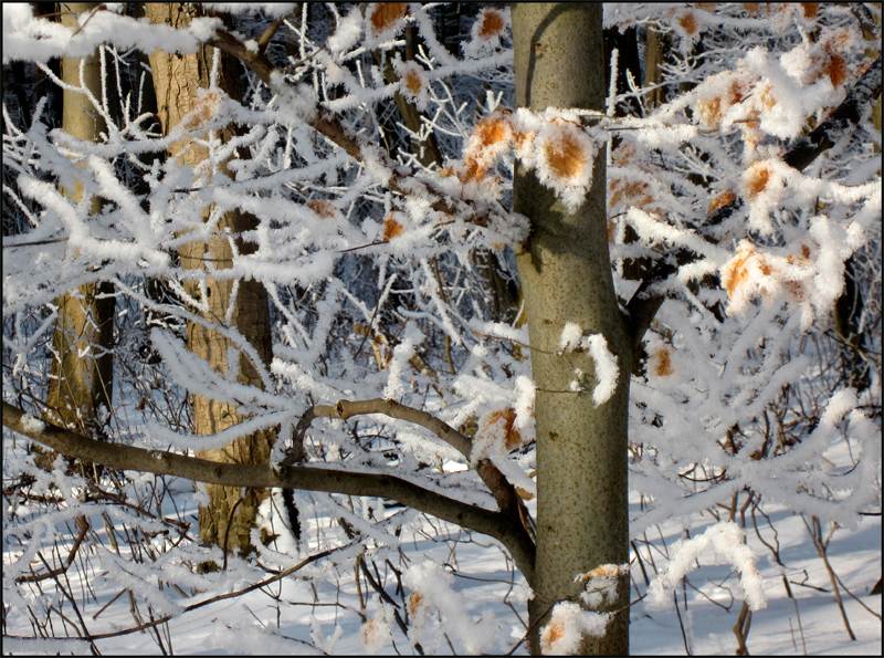 noch ein bisschen Winter