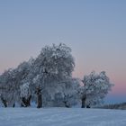 Noch ein bisschen Winter