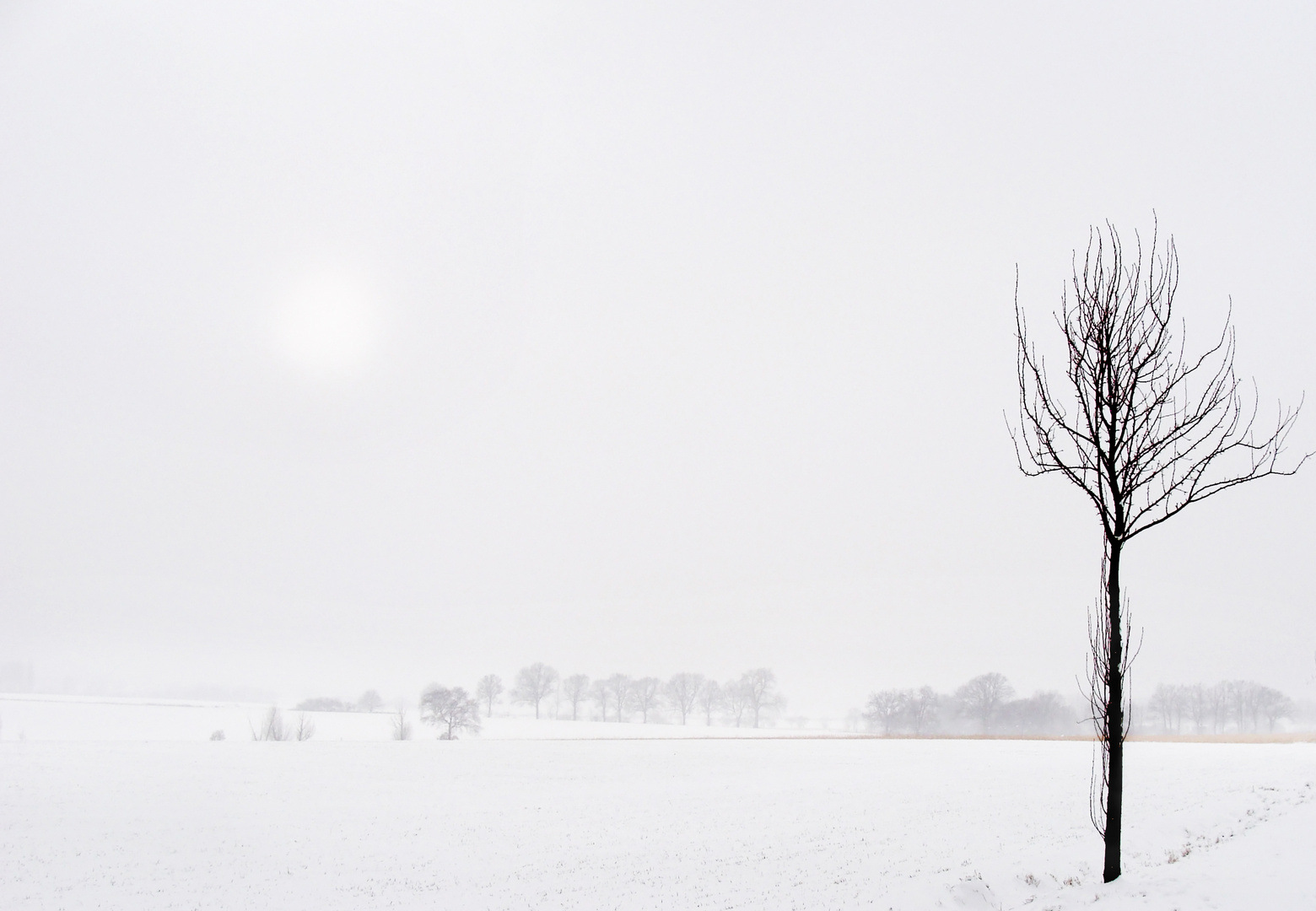 Noch ein bisschen Winter