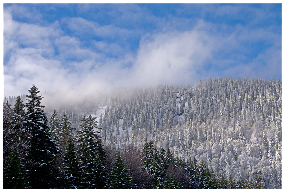 noch ein bisschen Winter