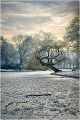 noch ein bißchen Winterstimmung....