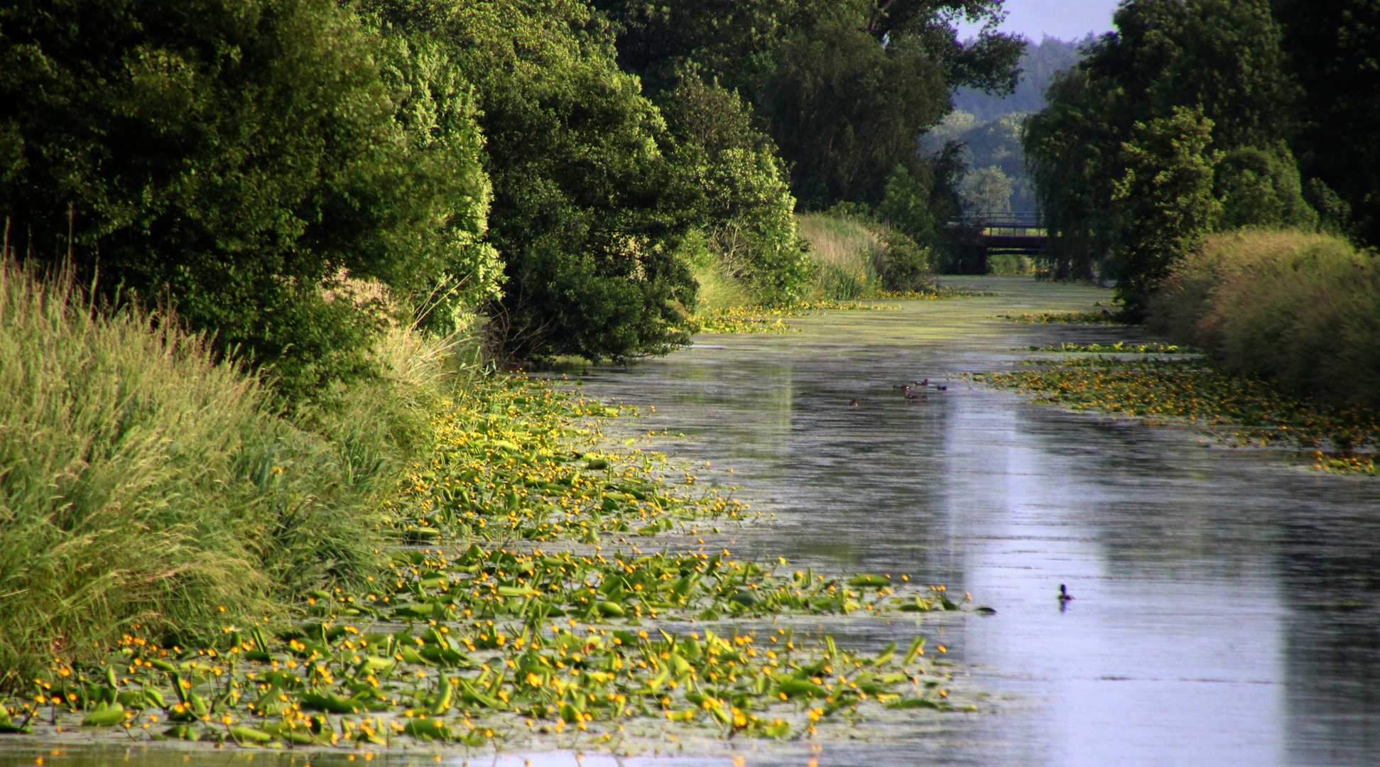 noch ein Blick auf den Kanal ..  