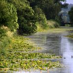 noch ein Blick auf den Kanal ..  