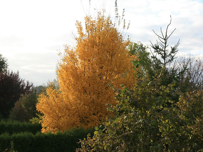 Noch ein Blick aus dem Fenster