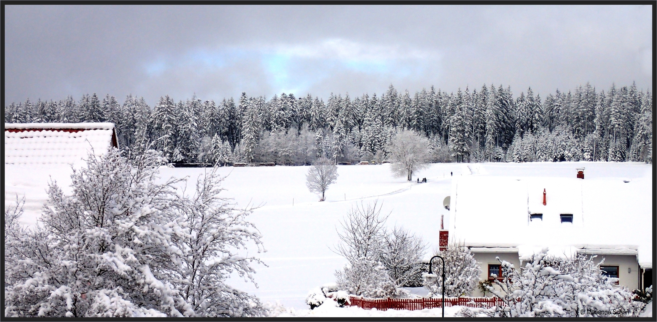 Noch ein Blick in die weiße Landschaft,,,