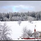 Noch ein Blick in die weiße Landschaft,,,