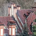 Noch ein Blick über die Dächer von den Beelitzer Heilstätten