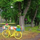 Noch ein Blumenfahrrad