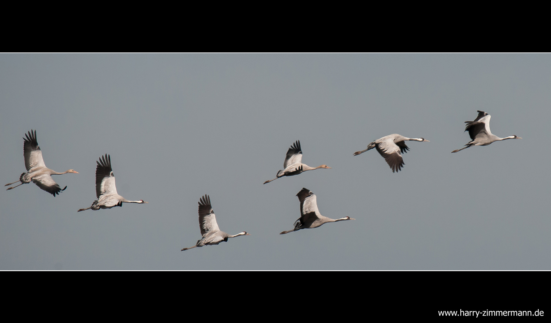 noch ein Formationsflug