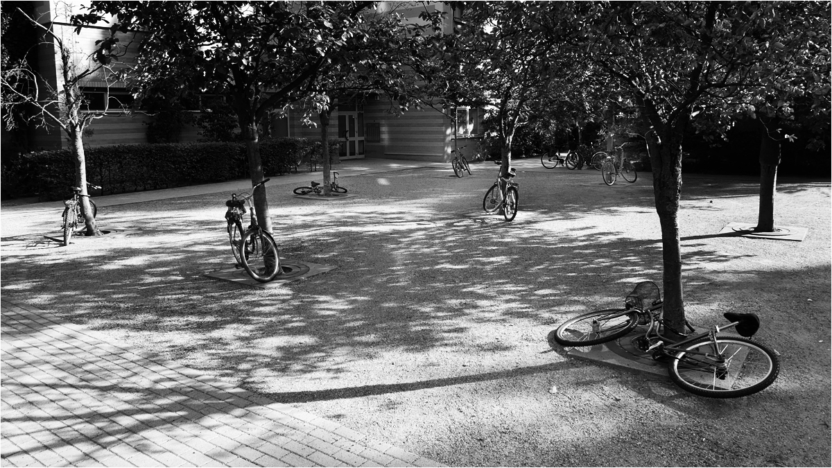 Noch ein freier Parkplatz